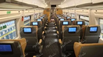 تفاصيل جديدة.. مواعيد قطارات تالجو بين القاهرة والإسكندرية وأسوان 2025